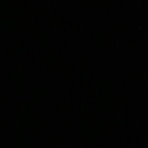 Meet your Posher, Maya